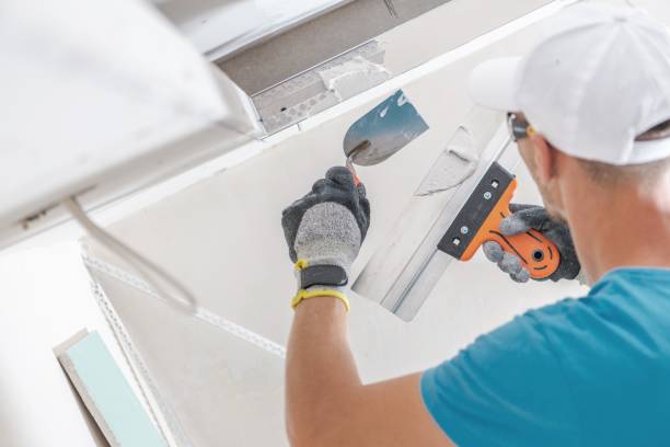 Mold Remediation for Vacation Homes in Taylor, AL